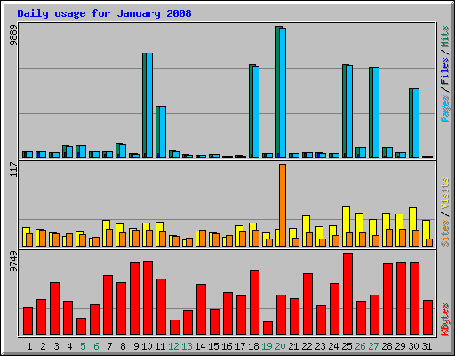 Daily usage for January 2008