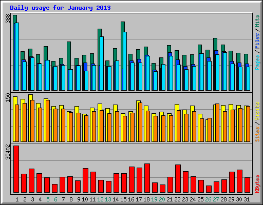 Daily usage for January 2013