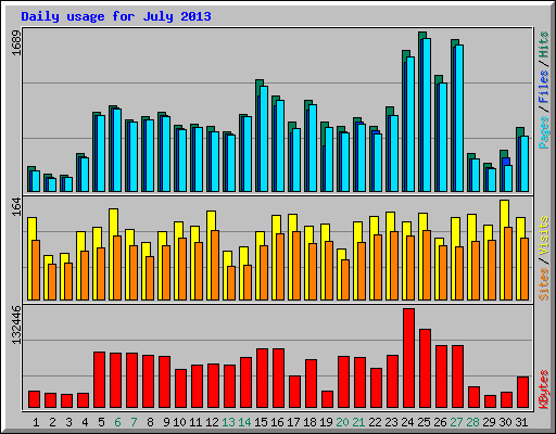 Daily usage for July 2013