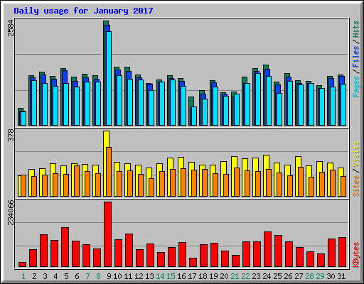 Daily usage for January 2017