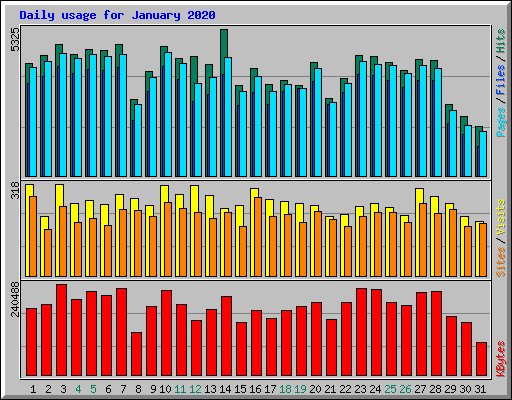 Daily usage for January 2020