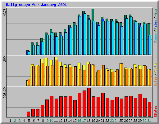 Daily usage for January 2021