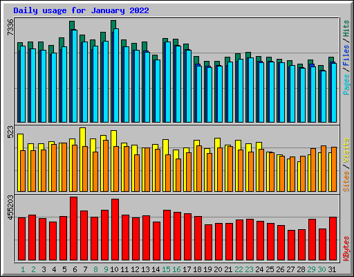 Daily usage for January 2022