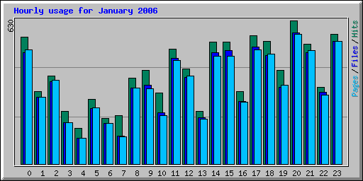 Hourly usage for January 2006