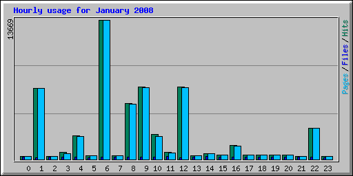 Hourly usage for January 2008