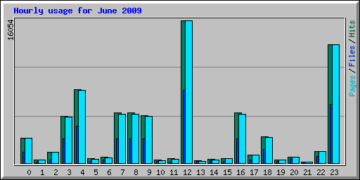 Hourly usage for June 2009