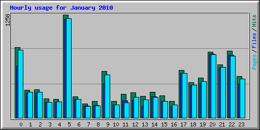 Hourly usage for January 2010