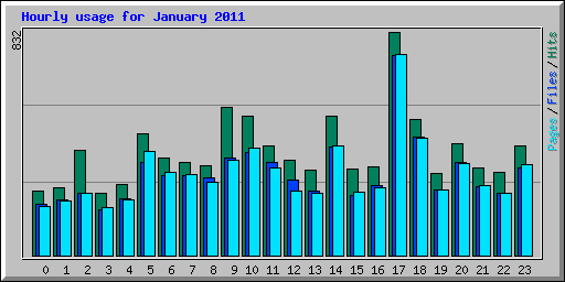 Hourly usage for January 2011