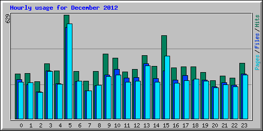 Hourly usage for December 2012