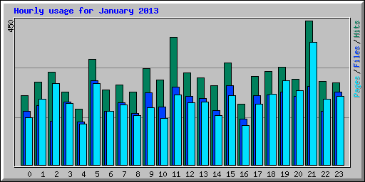 Hourly usage for January 2013