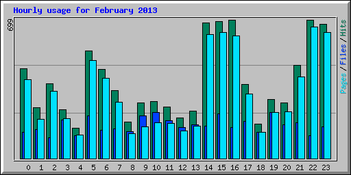 Hourly usage for February 2013