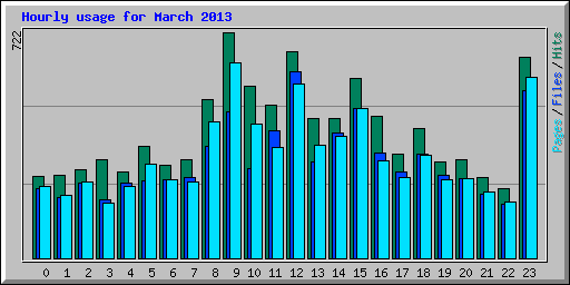 Hourly usage for March 2013