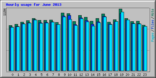 Hourly usage for June 2013