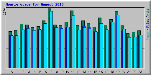 Hourly usage for August 2013