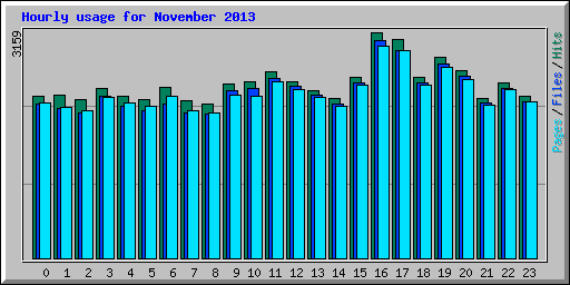 Hourly usage for November 2013