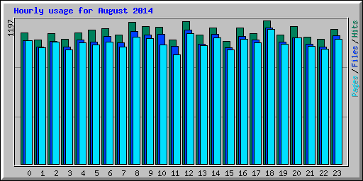 Hourly usage for August 2014