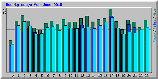 Hourly usage for June 2015