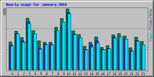 Hourly usage for January 2016