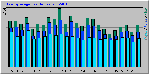 Hourly usage for November 2016