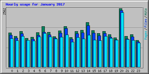 Hourly usage for January 2017