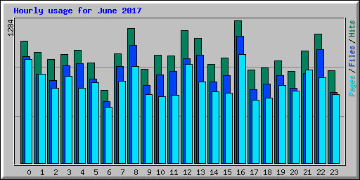 Hourly usage for June 2017