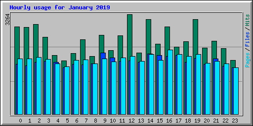 Hourly usage for January 2019