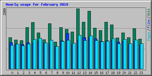 Hourly usage for February 2019