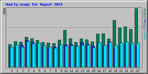 Hourly usage for August 2019