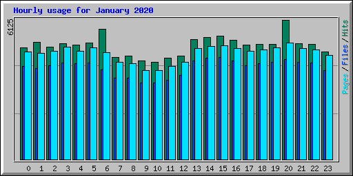 Hourly usage for January 2020