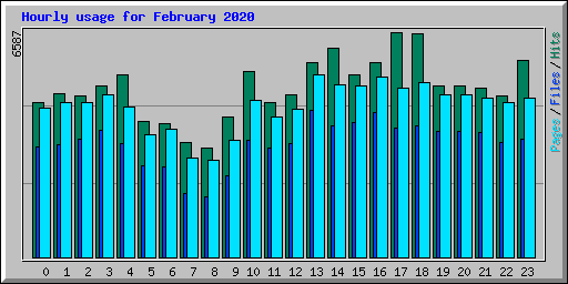 Hourly usage for February 2020