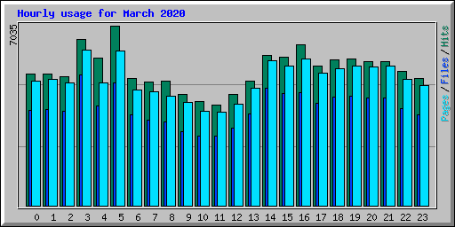 Hourly usage for March 2020