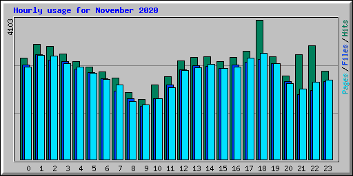 Hourly usage for November 2020