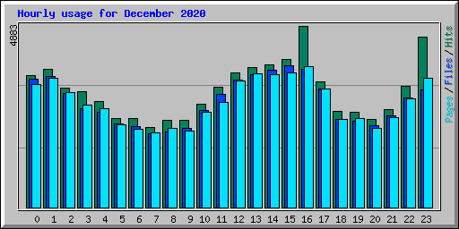 Hourly usage for December 2020