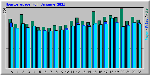 Hourly usage for January 2021