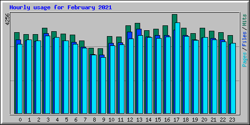 Hourly usage for February 2021