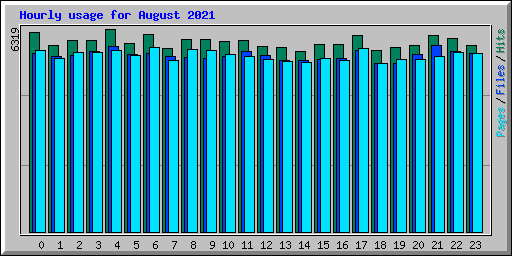 Hourly usage for August 2021