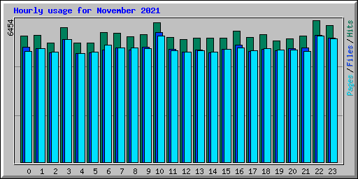 Hourly usage for November 2021