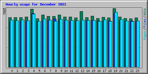 Hourly usage for December 2021