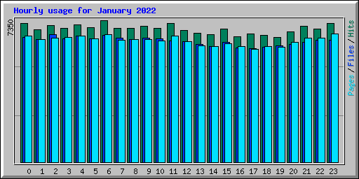 Hourly usage for January 2022