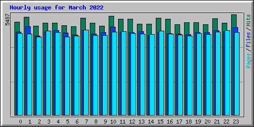 Hourly usage for March 2022
