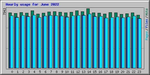 Hourly usage for June 2022
